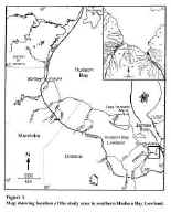 image_68.jpg (445095 �ֽ�)