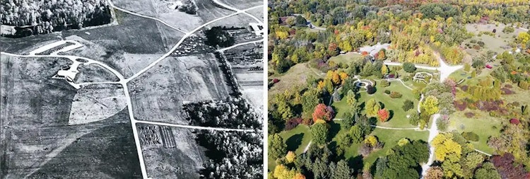 Two aerial photos of the arboretum, one old and black and white and one modern and colourful.