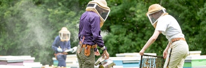 Two people wearing beekeeping protective gear hold a honeycomb up.