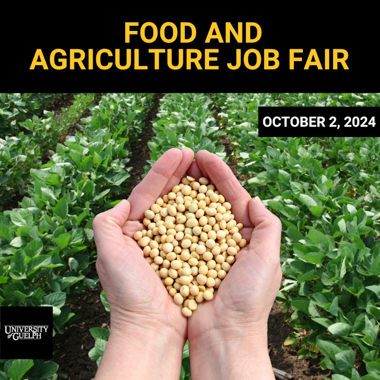 Hands holding grains. Text: Food and Agriculture Job Fair. October 2, 2024. University of Guelph Logo.