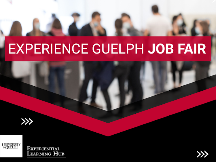 Experience Guelph Job Fair Banner
