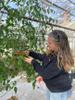 Woman looking at tomatoes growing on a vine