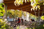 a photo of a bike rake on campus