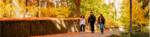 Students walking along north campus pathway