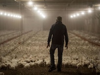 farmer with chickens_yahoonews