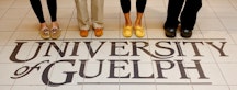 Picture of the University of Guelph logo with 4 people wearing moccasins. 
