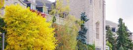 A group of students standing and talking to each other. Background featuring the University of Guelph's Johnston Hall building.