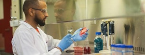 Male graduate student in a lab swabbing a petri dish