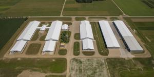 Aerial view of the five long barns that make up the Ontario Beef Research Centre