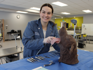 DVM student and dental model