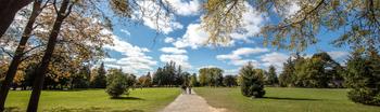 students walking on path in the distance at the University of Guelph campus