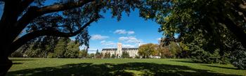 Johnston Hall in the distance, framed by trees in the foreground