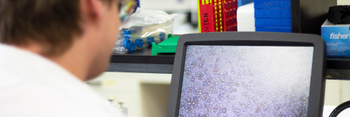 Student looks at microscopic image of cells