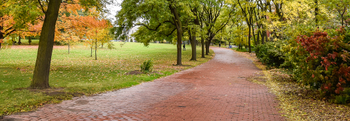 Alumni Walk at the University of Guelph, a brick path surrounded by trees and grass.