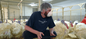 ryley standing in a turkey barn holding a tablet