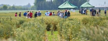 A farm photo of green wheat fields in the foreground with groups of people in the background