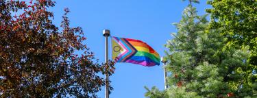 pride flag waving on a pole