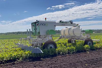 Naïo Technologies' robotic weeder, named Orio, working in a sunlit field of crops.
