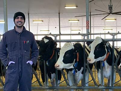 Guilherme Madureira stands in front of a row of black-and-white dairy cows in an airy dairy barn. He is wearing a tuque, coveralls and rubber boots.