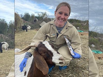 A veterinarian in a beige uniform smiling while examining a brown and white goat outdoors.