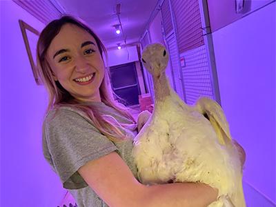 Person smiling and holding a white turkey in a room with purple lighting.