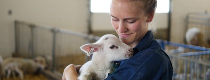 A woman holding a lamb.
