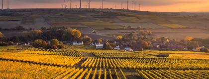 Environmental Governance Major