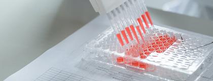 Molecular Biology and Genetics Major