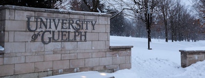 Guelph cornerstone in the snow