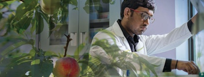 Shanthanu in lab coat works in lab; overlay of transparent peach tree