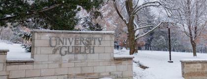 University of Guelph Logo on brick wall in winter