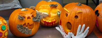 A group of pumpkins.
