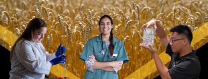 Three professionals in different fields, standing in front of a stylized background featuring wheat.