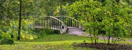 Arboretum Bridge