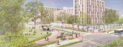 Artist Illustration of the proposed Dairy Bush Neighbourhood