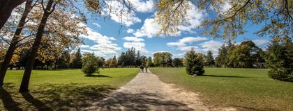 Students walking on campus
