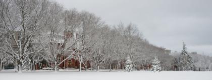 Johnston Green Winter