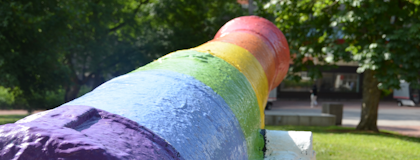 The cannon painted in pride colours