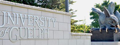 Photograph of the Gryphon statue with the brick wall beside it in the foreground which reads 'University of Guelph'.