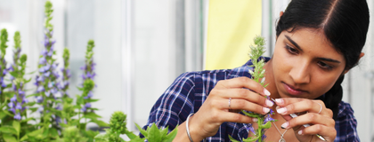 Student working with flowers