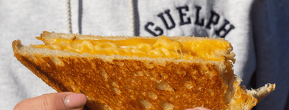 Grilled cheese with guelph sweater