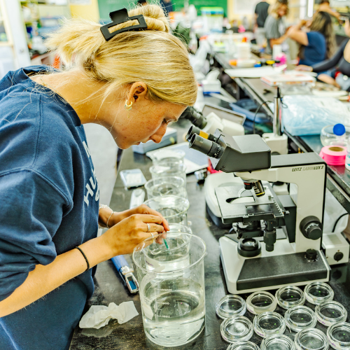 Student working in a lab
