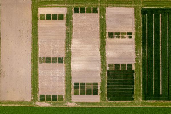 An aerial view of long-term plots showing a checkerboard pattern of soil and green plants