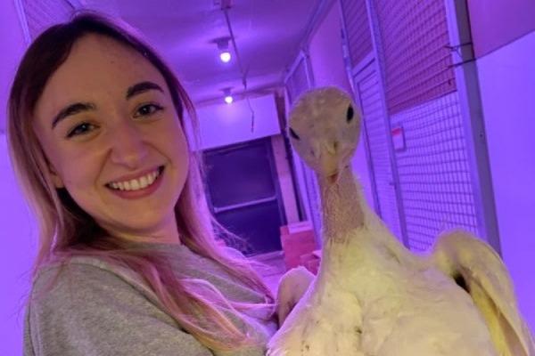 Indoors, Clara holds a turkey as both are bathed in purple light