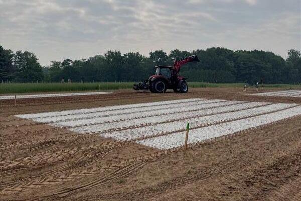 About 6 wide white strips of the mineral wollastonite are visible on a field of soil, with a tractor in the background