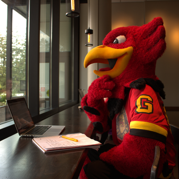 Gryph using a laptop