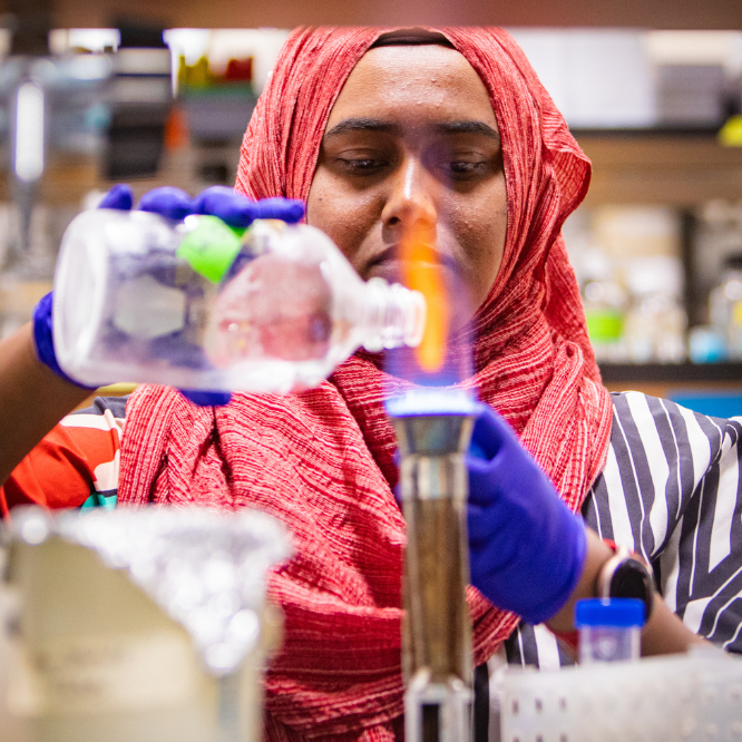 Safia Sauty in the lab