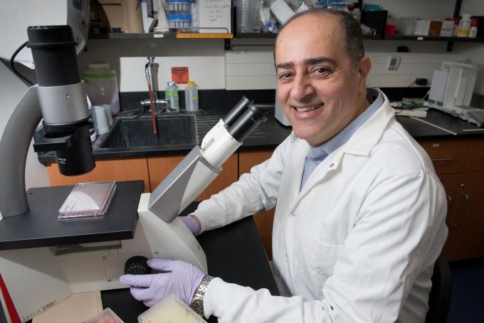 Dr. Sharif is seated at a lab bench, smiling behind a microscope while wearing gloves and a lab coat