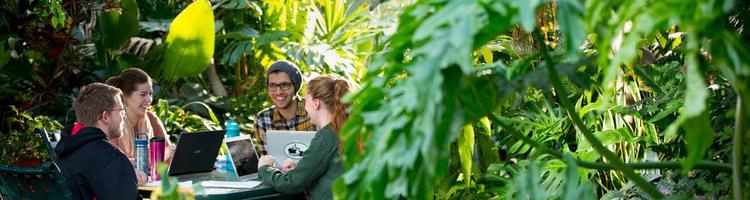 People sitting at a table in a tropical garden, enjoying the serene ambiance and lush greenery.