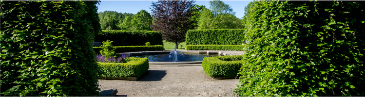 The Arboretum at the University of Guelph during spring time